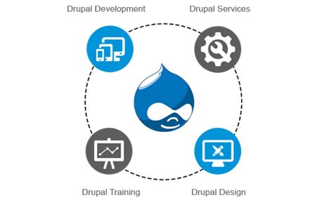Drupal Theme Developer 的图像结果