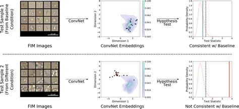 Image result for Algorithm Test