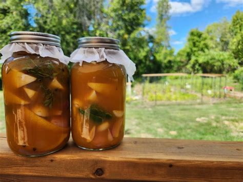 How to Make Fire Cider Recipe: Immune-Boosting Tonic for Cold and Flu Season - DBS Farm Wilson