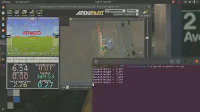 Dronekit Python Tutorial 的图像结果