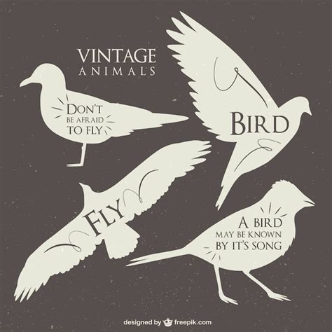 Images de Silhouette Oiseaux – Téléchargement gratuit sur Freepik