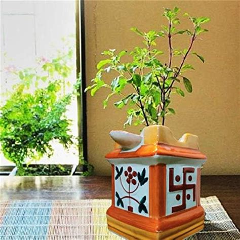 Niyara Small Tulsi Ceramic Pot Small for Indoor, Outdoor,Home Office ...
