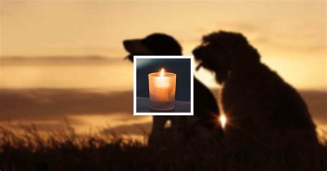 Obituary | Maria Ritter | Heer Mortuary & Crematory