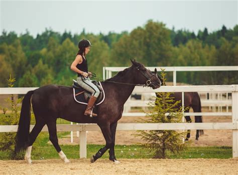 Basic Horse riding techniques: mastering posture, balance, and control ...
