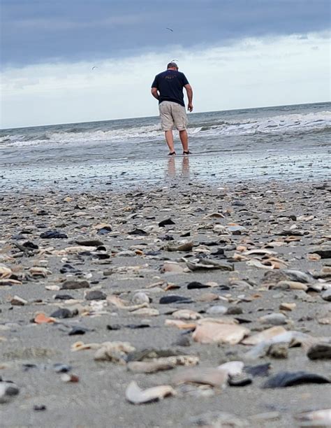Spring Break Beach Escape 的图像结果