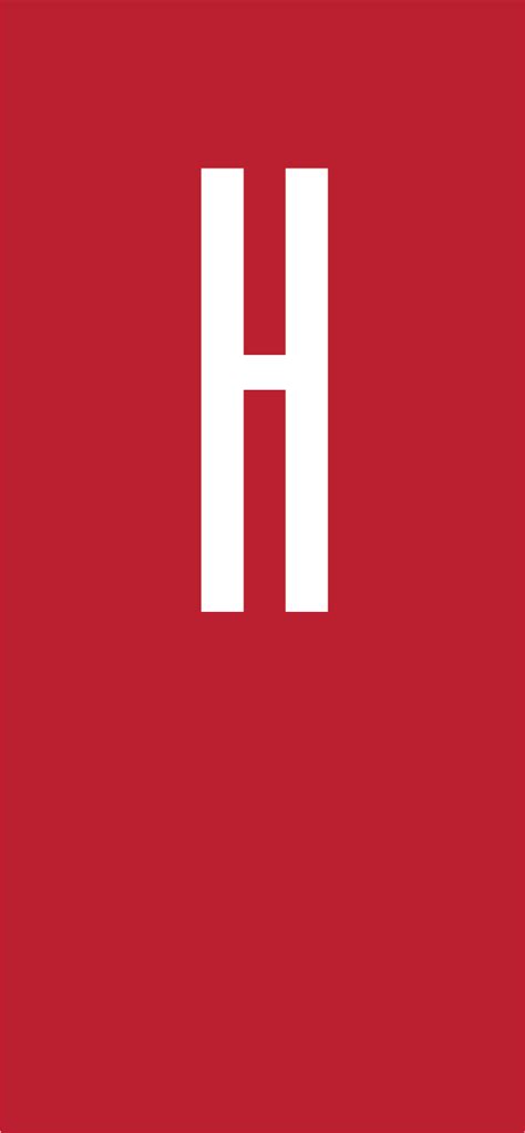 Image result for Horizon Computer System