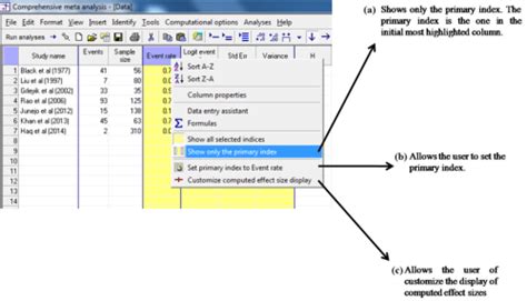 Performing manual data entry in CMA spreadsheet