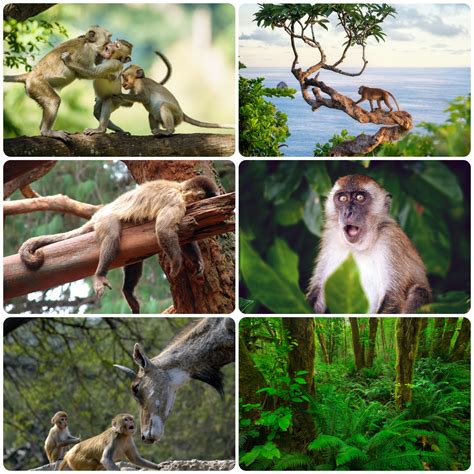 செயல்முறை IV — task. அறிவியல், Class 6.