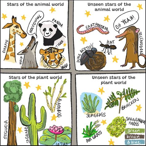 Unseen stars of the plant and animal world – Mongabay Kids