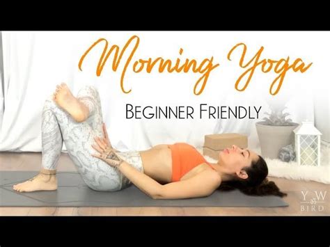 Morning Exercise 的图像结果