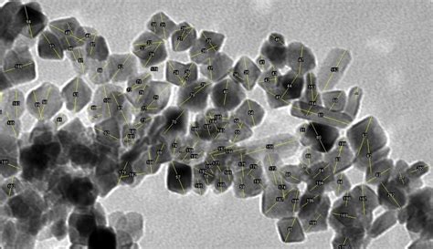ImageJ Particle Size Distribution Tutorial 的图像结果