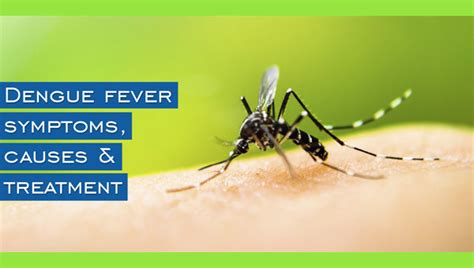 GenMed | Online Pharmacy Chain Store In India