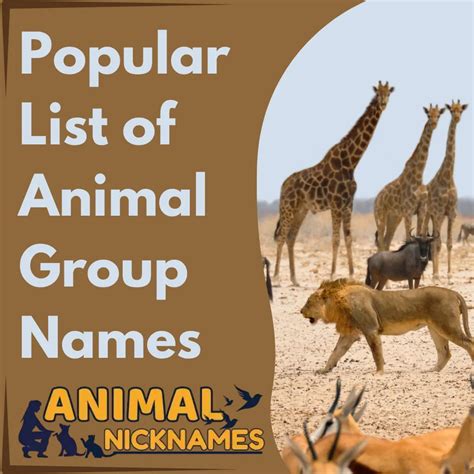 Best 400+ Cat Names [Funny, and Unique Ideas with Meanings] – Animal ...