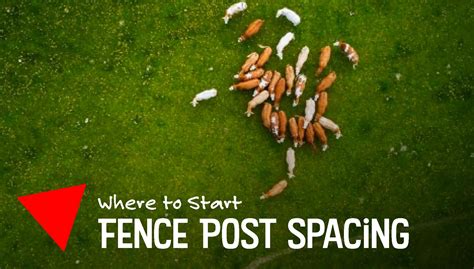 Agricultural Fence Post Spacing at Lily Selwyn blog