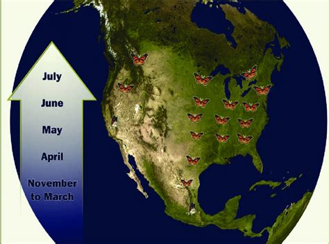 Image result for Northern Migration of Python's
