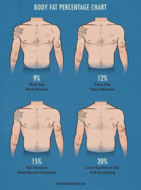 Body Fat Percentage Body Types at Ava Ewers blog