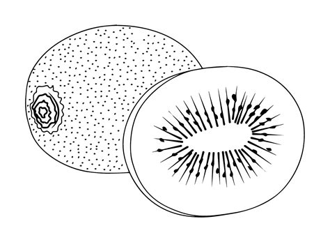 Coloriage De Kiwi