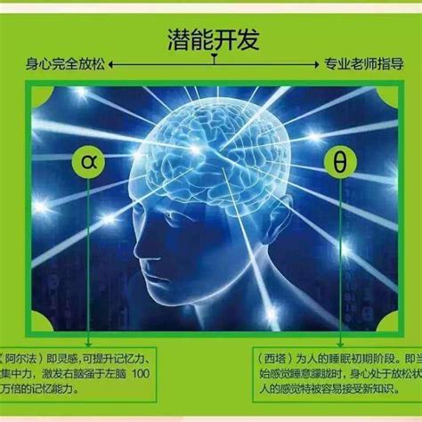 32.阿尔法脑波学习音乐13.+记忆力+记忆法_右脑开发阿尔法脑波音乐之记忆力、注意力提__企鹅FM