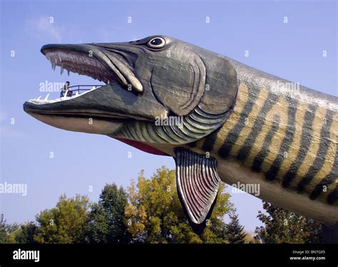 Worlds Largest Fish at the National Freshwater Fishing Hall of Fame in ...