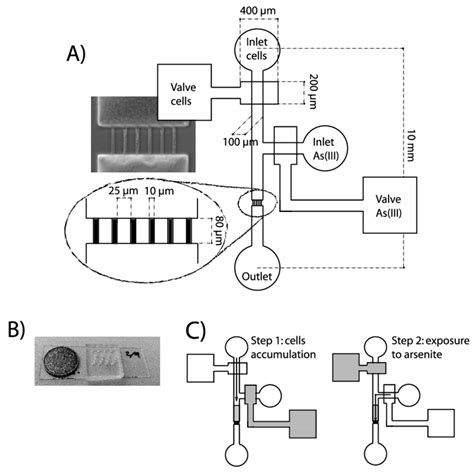 Microfluidic Chip 的图像结果