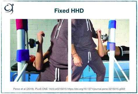 Image result for Dynamometer Strength Testing