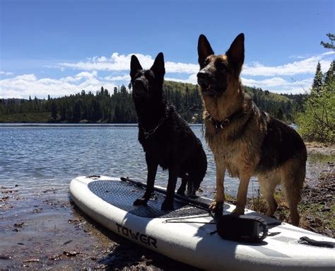 Sierra Outdoors (Pollock Pines) - All You Need to Know BEFORE You Go