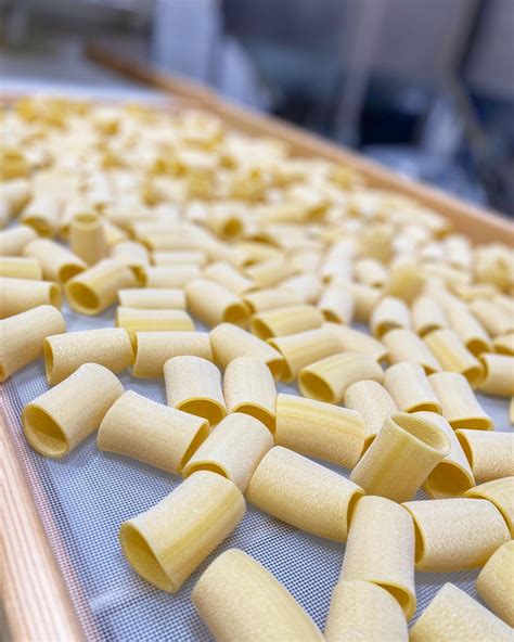 Marulo, Paccheri Pasta, Short Pasta Bronze Die Cut Artisan – Manzo Food ...