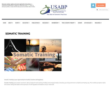 Somatic Training 的图像结果
