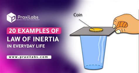 10 Examples of Inertia 的图像结果