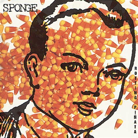 Buy Rotting Pinata Online at Low Prices in India | Amazon Music Store ...