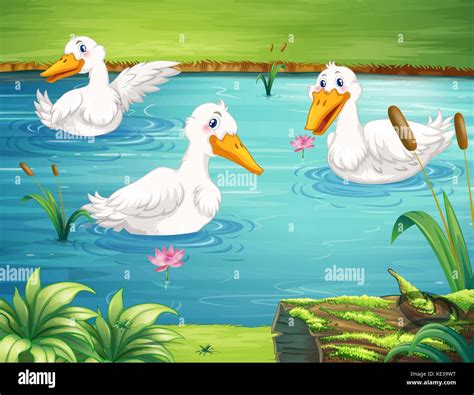 Ducks In A Pond Clipart