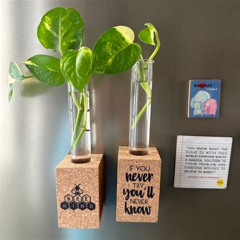 Cork Magnetic Planter ( Set of 2) – Kavi The Poetry-Art Project