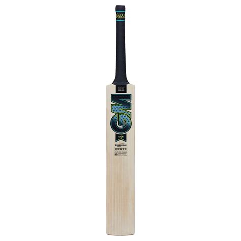 GM Aion Excalibur English Willow Cricket Bat – Sportswing.in
