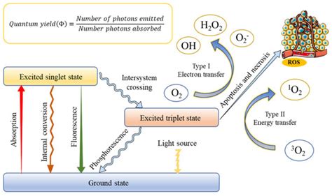 Metal Nanoparticles for Photodynamic Therapy: A Potential Treatment for ...