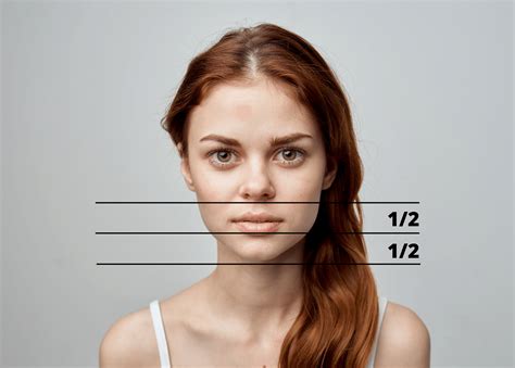 Image result for Face Structure Drawing