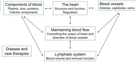 Gas exchange is the only function of blood.Group of answer choicesTrueFalse