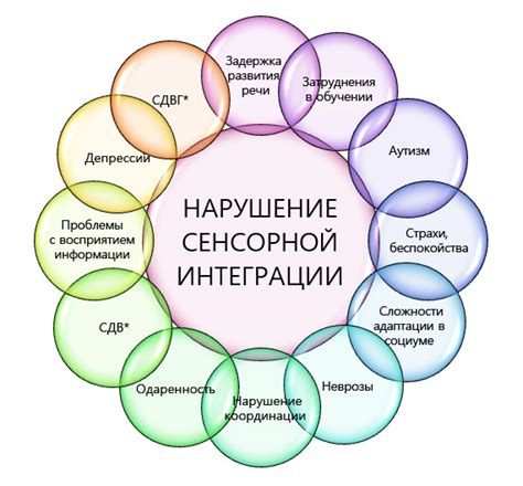 Нарушение сенсорной интеграции | Центр реабилитации и нейротерапии A.KID