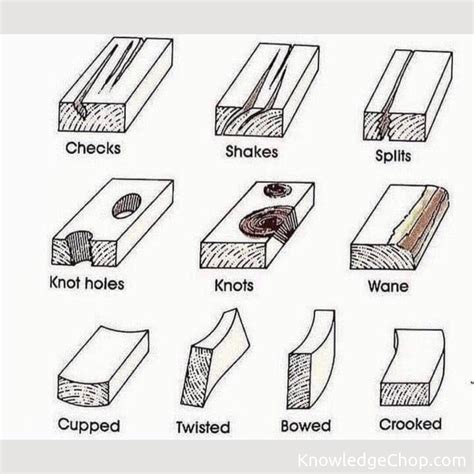 Image result for Defects in Timber
