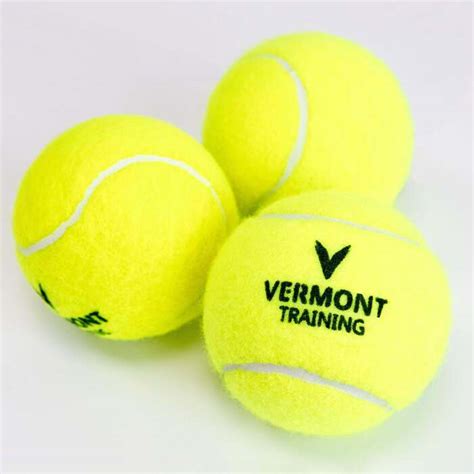 Vermont Pressureless Cricket Training Balls | Net World Sports