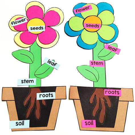 Image result for Plant Lesson First Grade