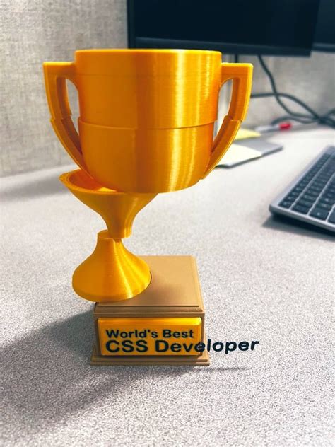 Image result for Best CSS Programer Trophy