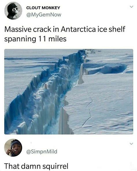 Most Random Comment 的图像结果