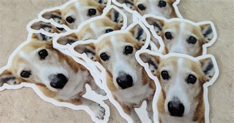 Image result for Sticker Mule Custom Stickers