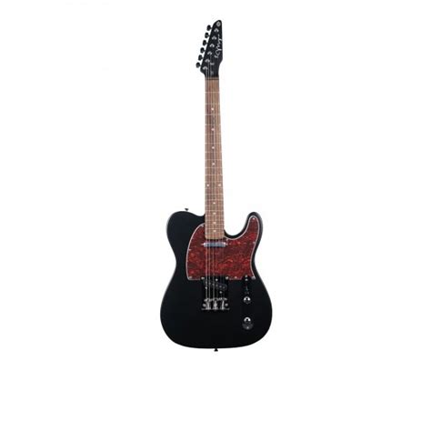 Electric Guitars