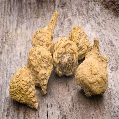 Image result for Maca Root Extract