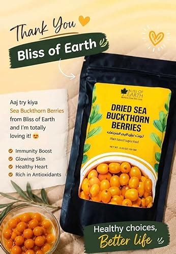 Bliss of Earth Himalayan Sea Buckthorn Berries (100g) | Naturally Sun ...