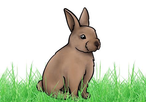 How to Draw a Bunny (3 steps) | Design School