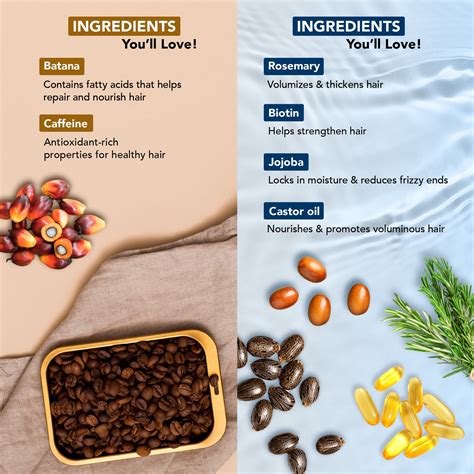 Rosemary Hair Oil & Batana Caffeine - Hair Oil Set of 2 – Botanic Hearth