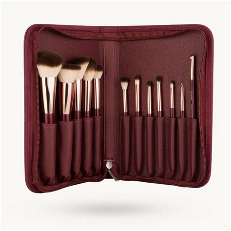 Buy MARS Professional Makeup Brush Set of 12 | Long-Lasting | MARS ...