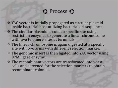 Artificial chromosomes - YAC and BAC | PPTX